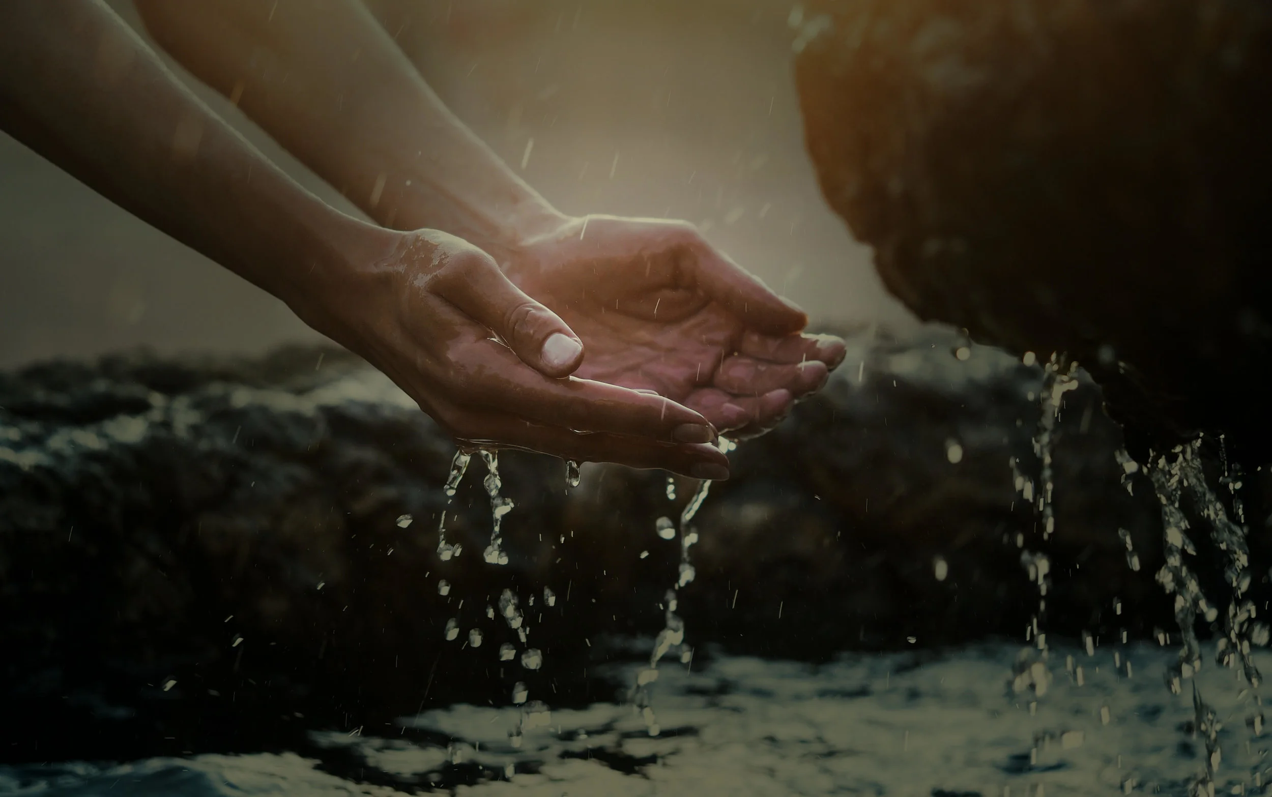 New Our Mission — The Well